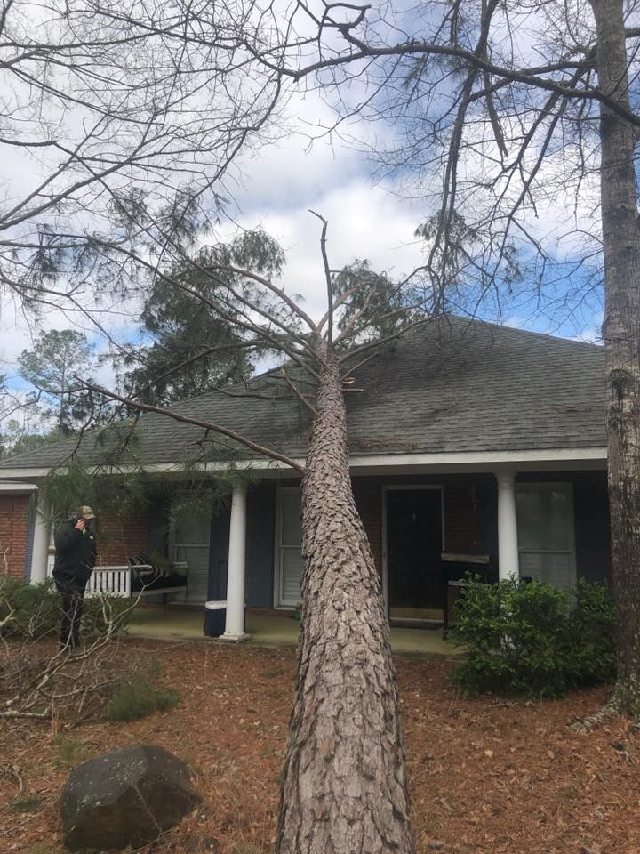 Tree Service and Landscaping Canton GA