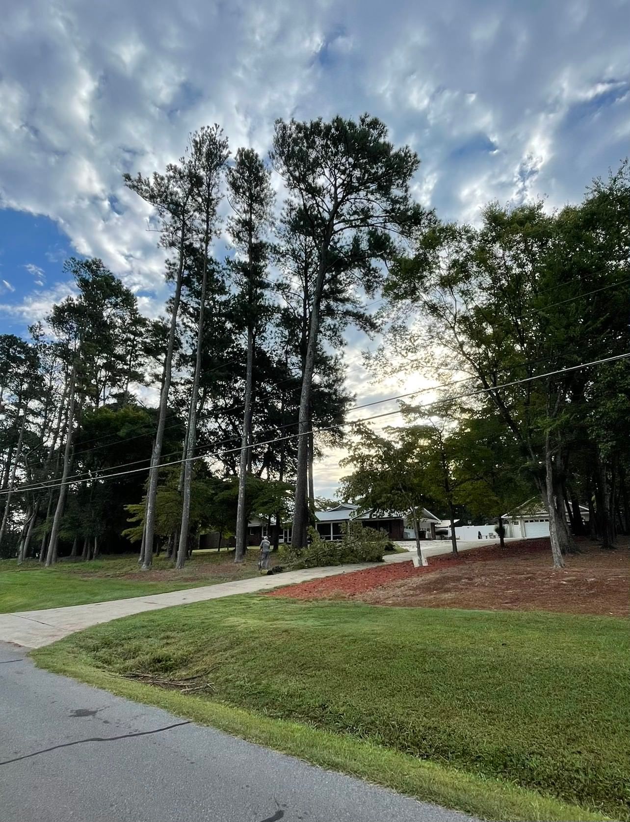 Emergency Tree Removal Service Canton
