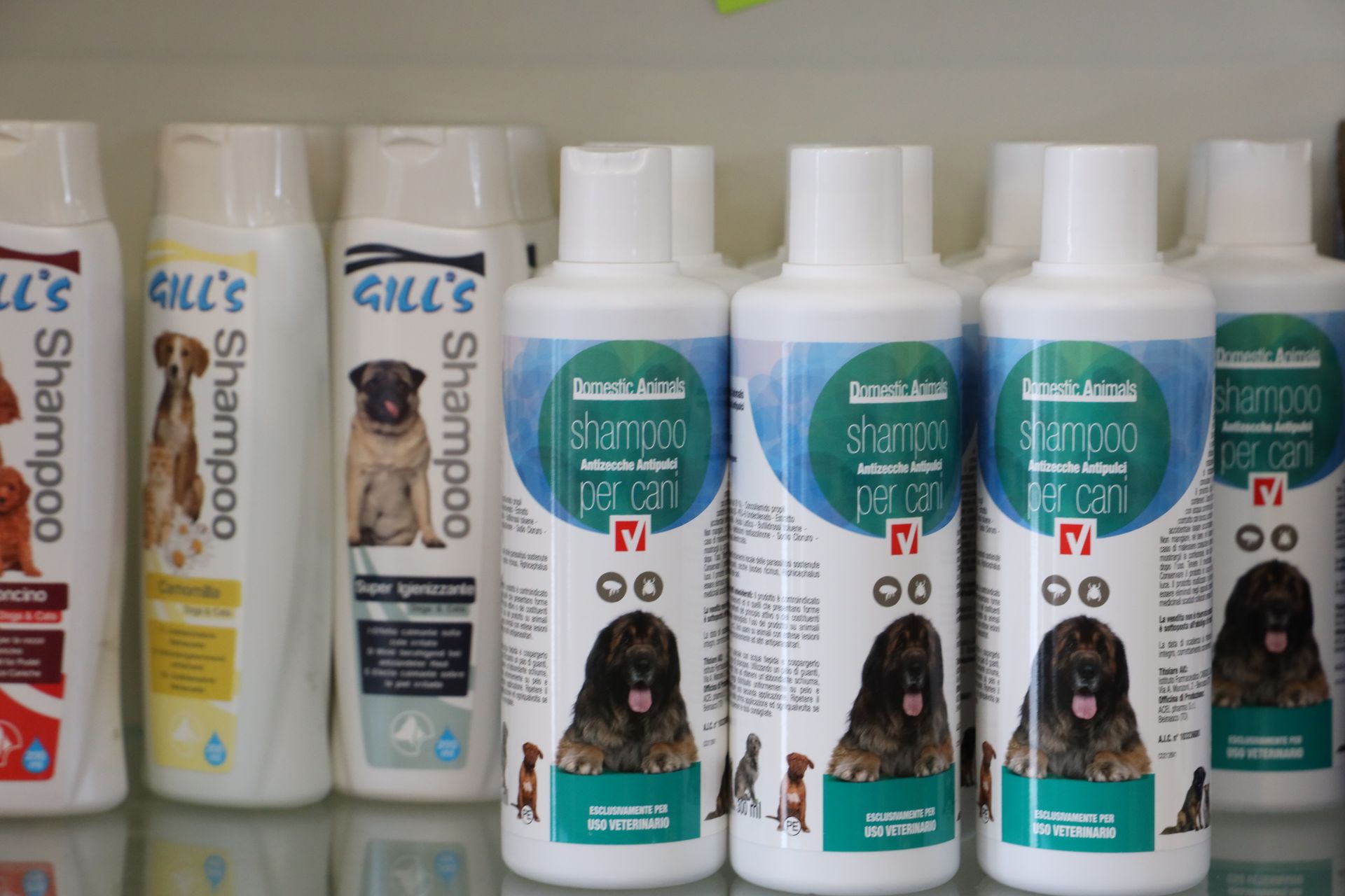 shampoo animali
