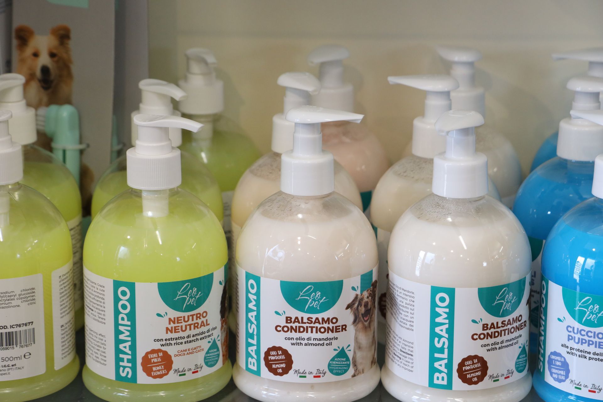 shampoo animali