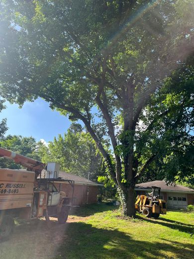 Tree-lined yard with construction equipment and a work truck in bright sunlight