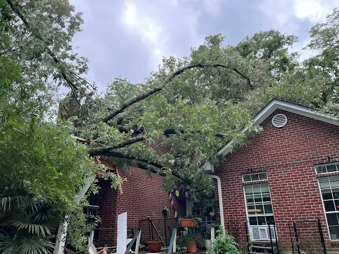 Tree fallen on red brick house during storm, with large branches over the roof and yard.