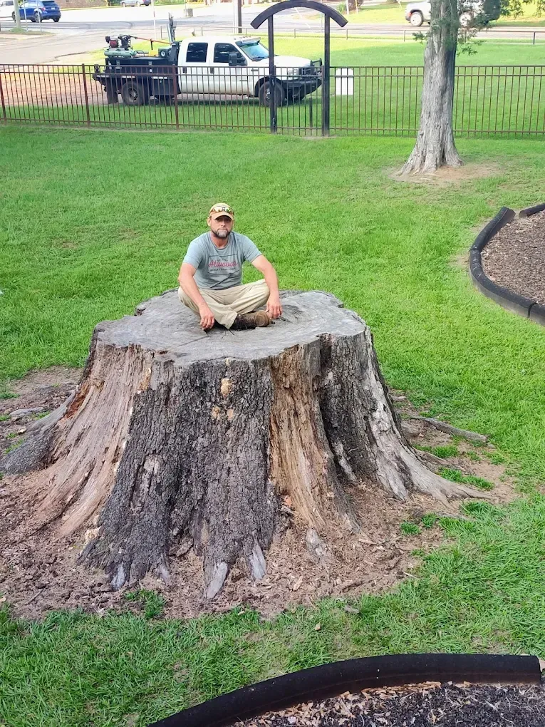 Person sitting on a large tree stump in a grassy park near a fence and parked vehicles.
