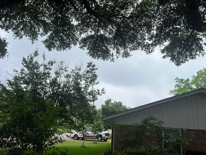 Tree-lined yard beside a gray building under an overcast sky, with parked cars in the distance
