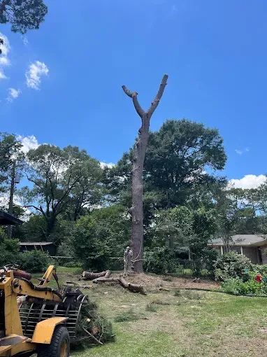 Tall tree trunk with cut branches in a yard, blue sky overhead, and a yellow excavator in the foreground.