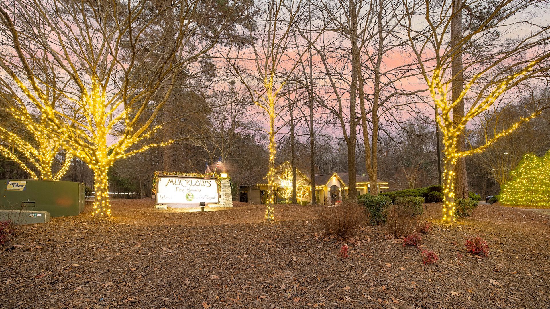 Twinkling lights wrap bare trees in a park at dusk, with a lit sign and pink evening sky.
