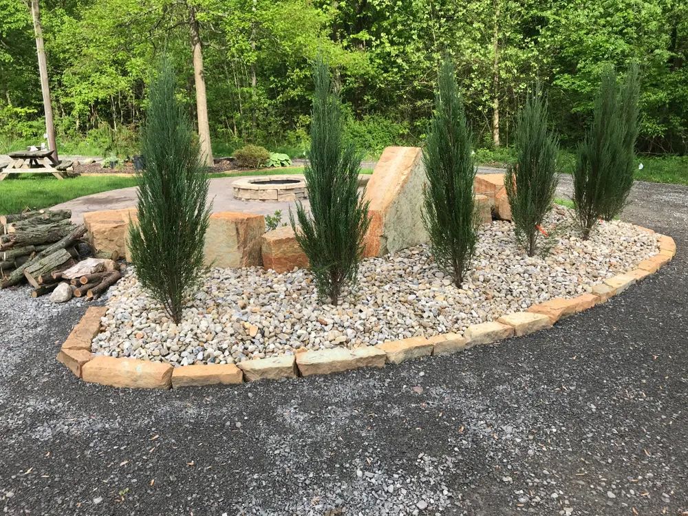 A garden with trees and rocks in the middle of a driveway.