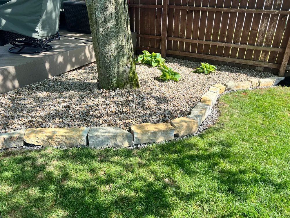 There is a wooden fence in the background and a tree in the foreground.