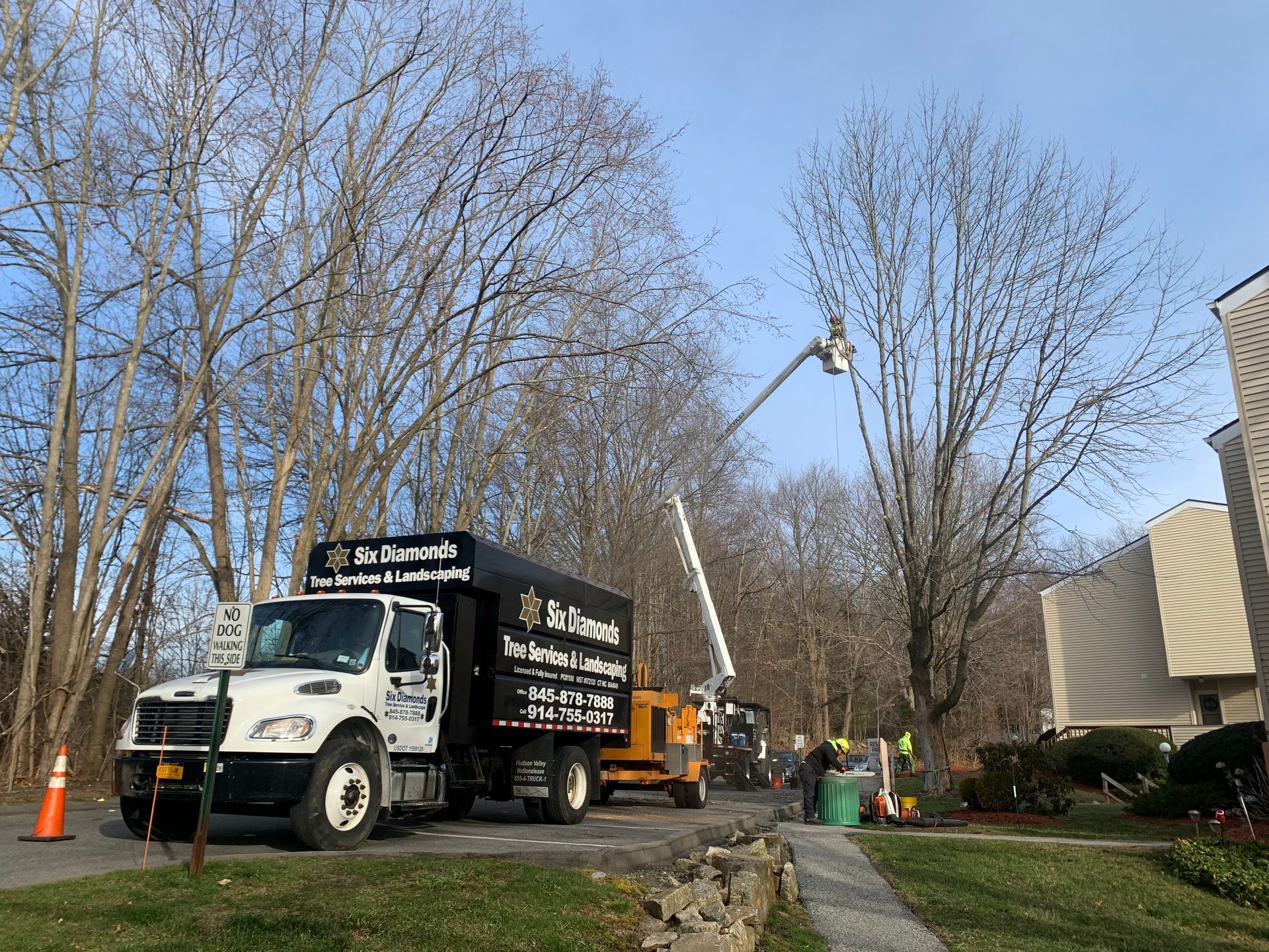 Winter time pruning in bucket truck