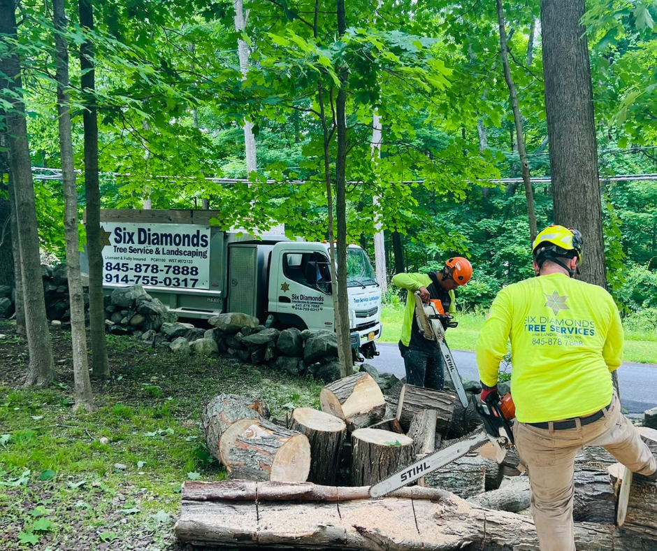 Tree Removal in Pawling NY