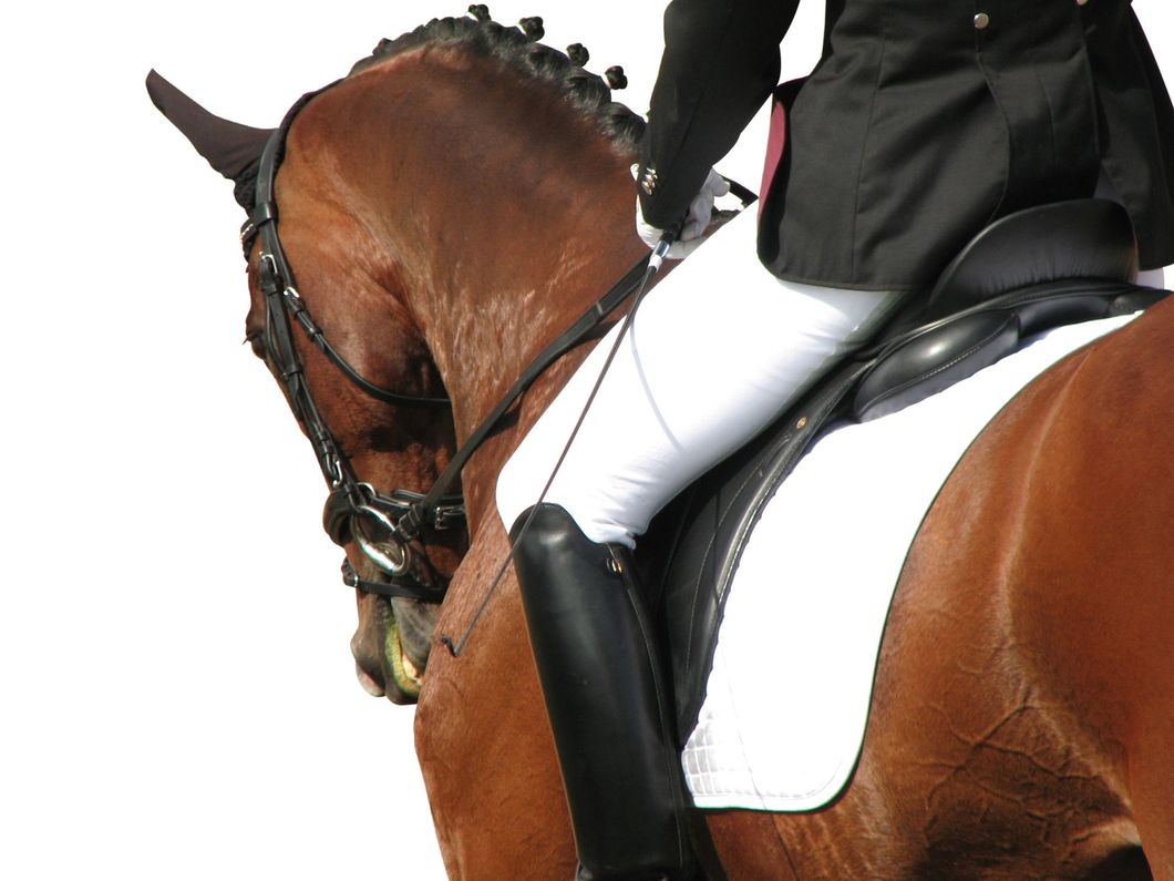 Equestrian rider on a brown horse, wearing white breeches and black boots, competing.