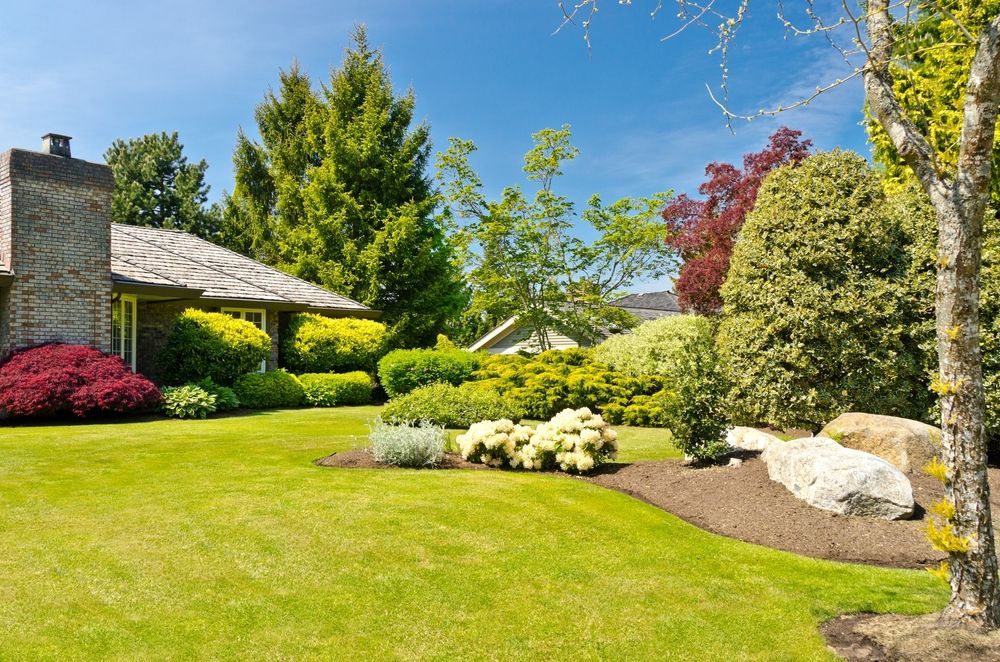 A sunlit suburban home with a green lawn, lush landscaping, colorful bushes, and large rocks under a clear blue sky.
