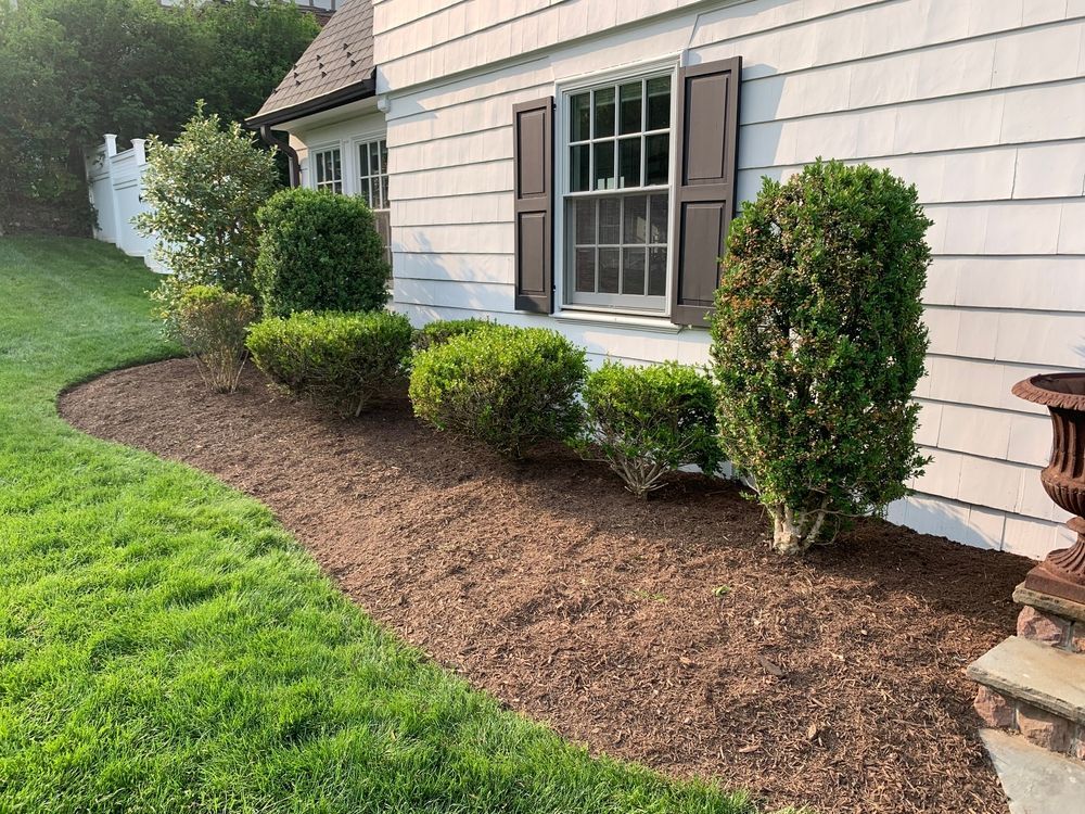 A row of green bushes planted in mulch along the white-sided exterior wall of a house with dark shutters.