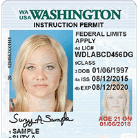 Washington state instruction permit card example