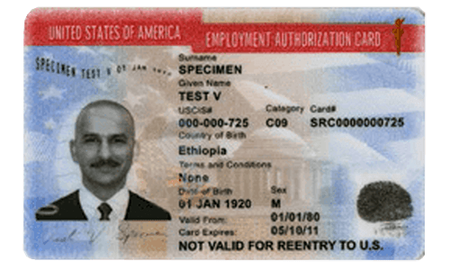 USA Employment Authorization Card example