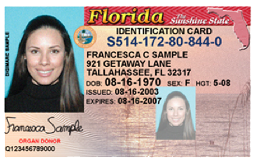 Other state identification card example