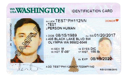 Washington state identification card example