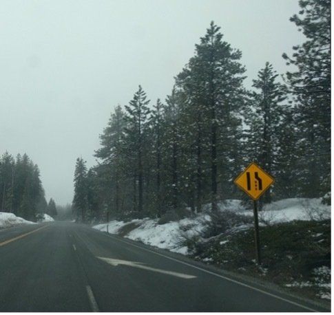 Road with snow-covered shoulders, trees, and a merging lane sign under overcast skies.