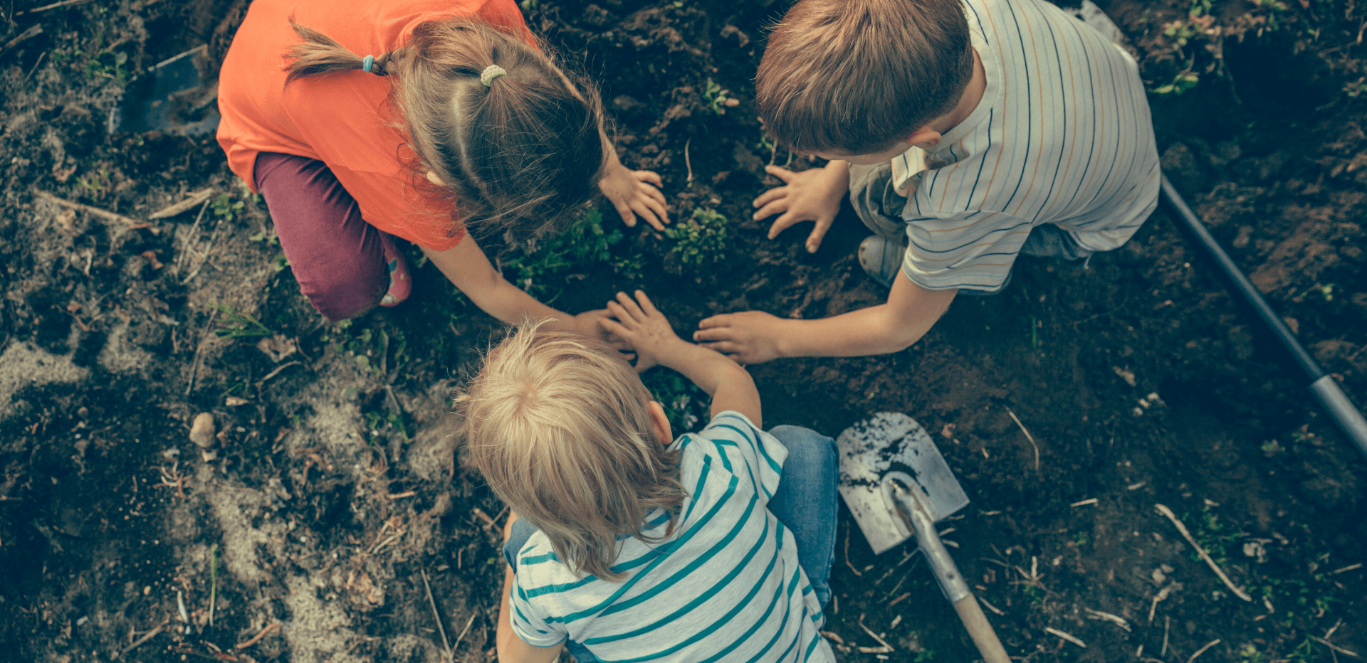 Child Inclusive Mediation (CIM)