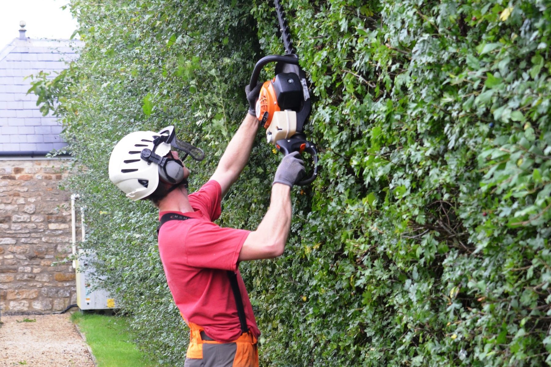 Commercial Landscaping
