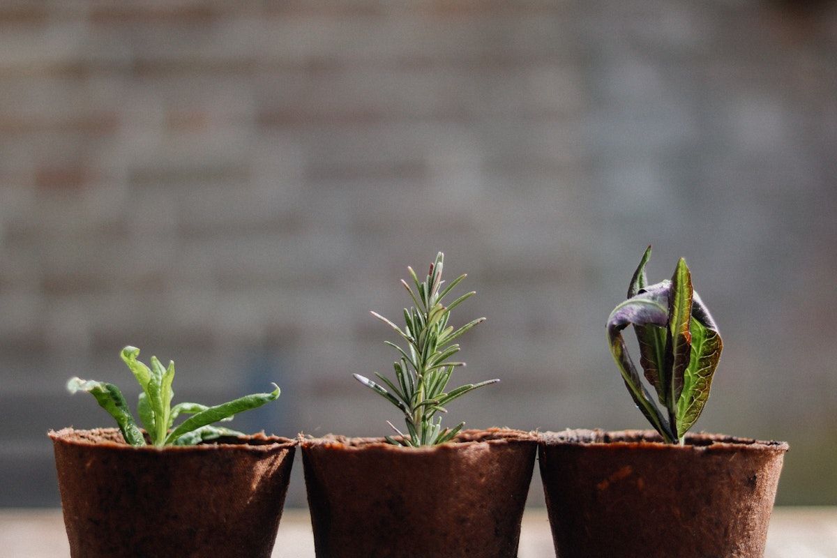 Have you got a plan for growth in your business?