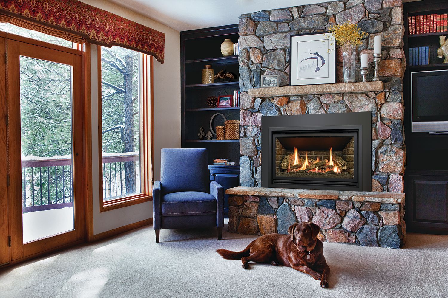 Fireplace Inserts
