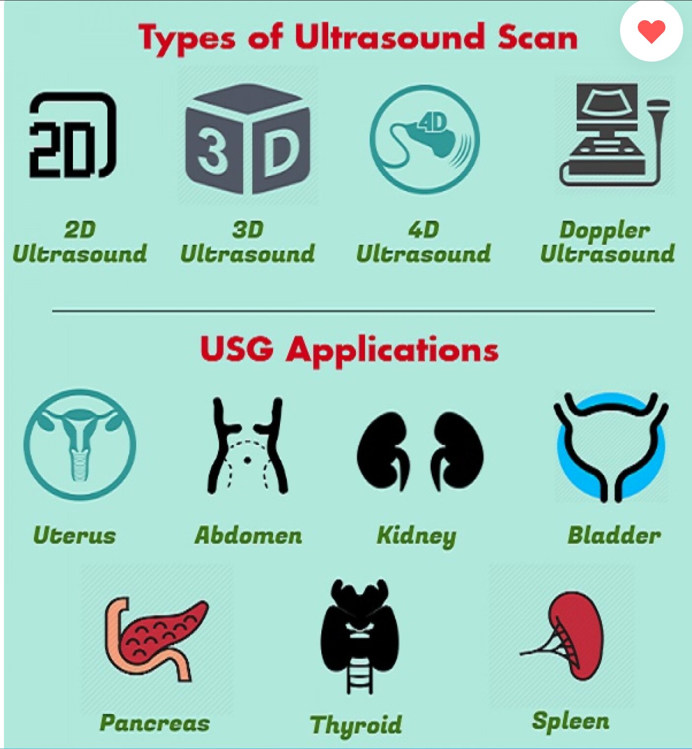 Ultrasound Scans How Do they Work?