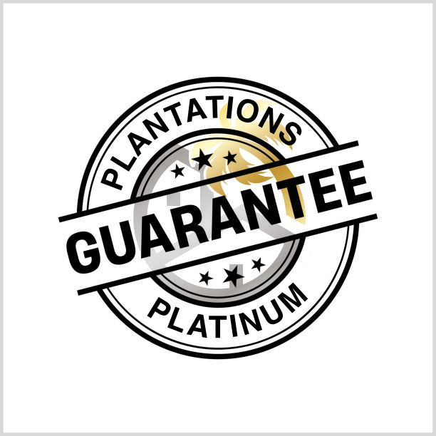 PLANTATION BUILDS logo