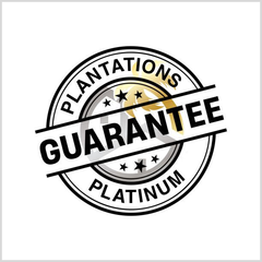 A circular logo with a white background, gold palm tree icon, black stars, and text reading 