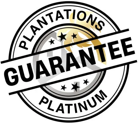 A circular logo with a white background, gold palm tree icon, black stars, and text reading 