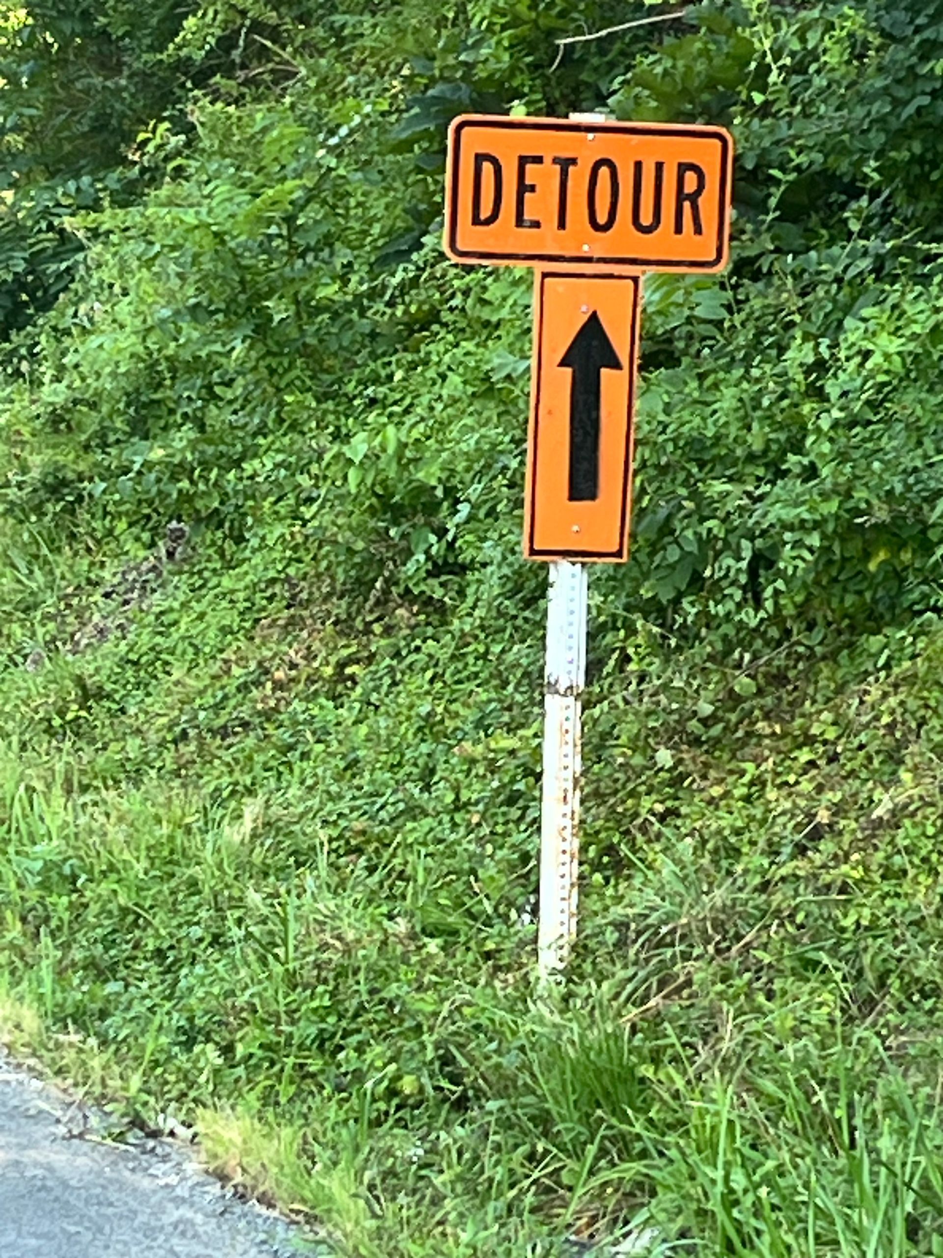 Orange detour sign with black arrow on a white post beside a grassy roadside