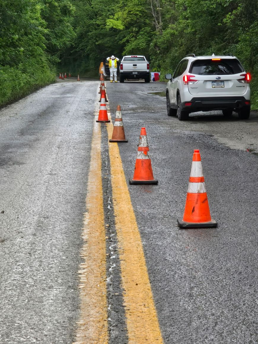 Traffic cones line a wet rural road with two cars ahead near a tree-lined curve