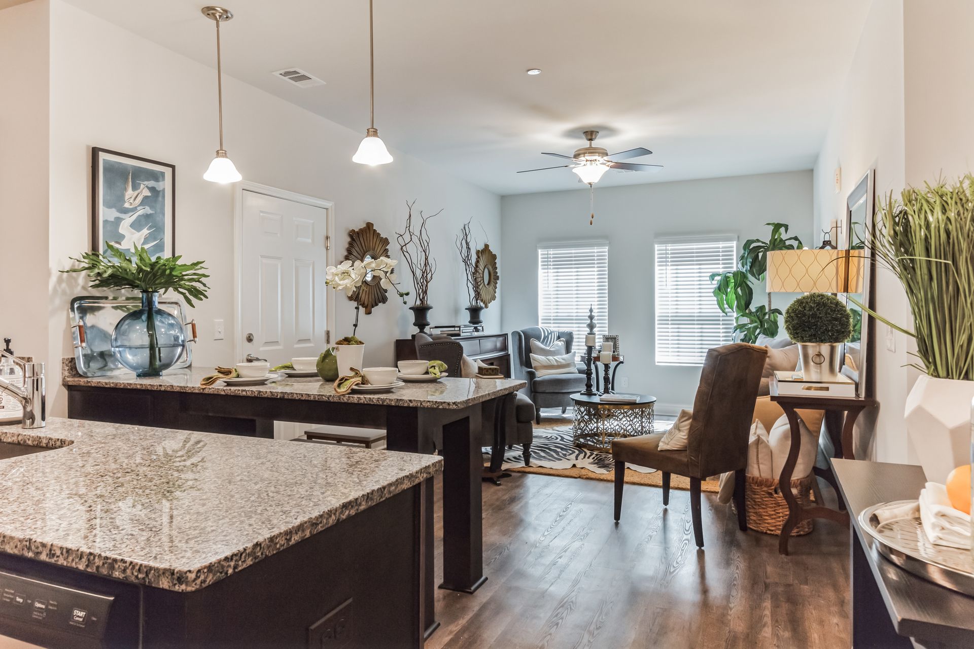 Open concept kitchen into living room