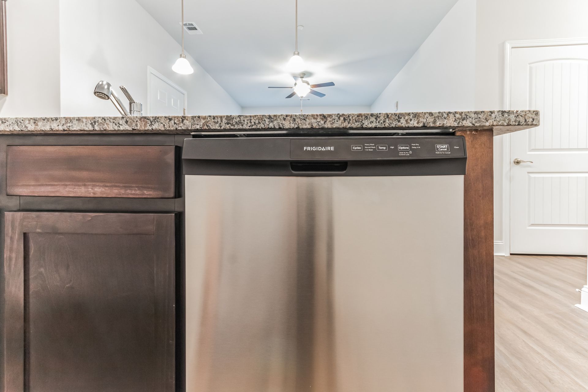 Granite Countertops and Stainless Dishwasher