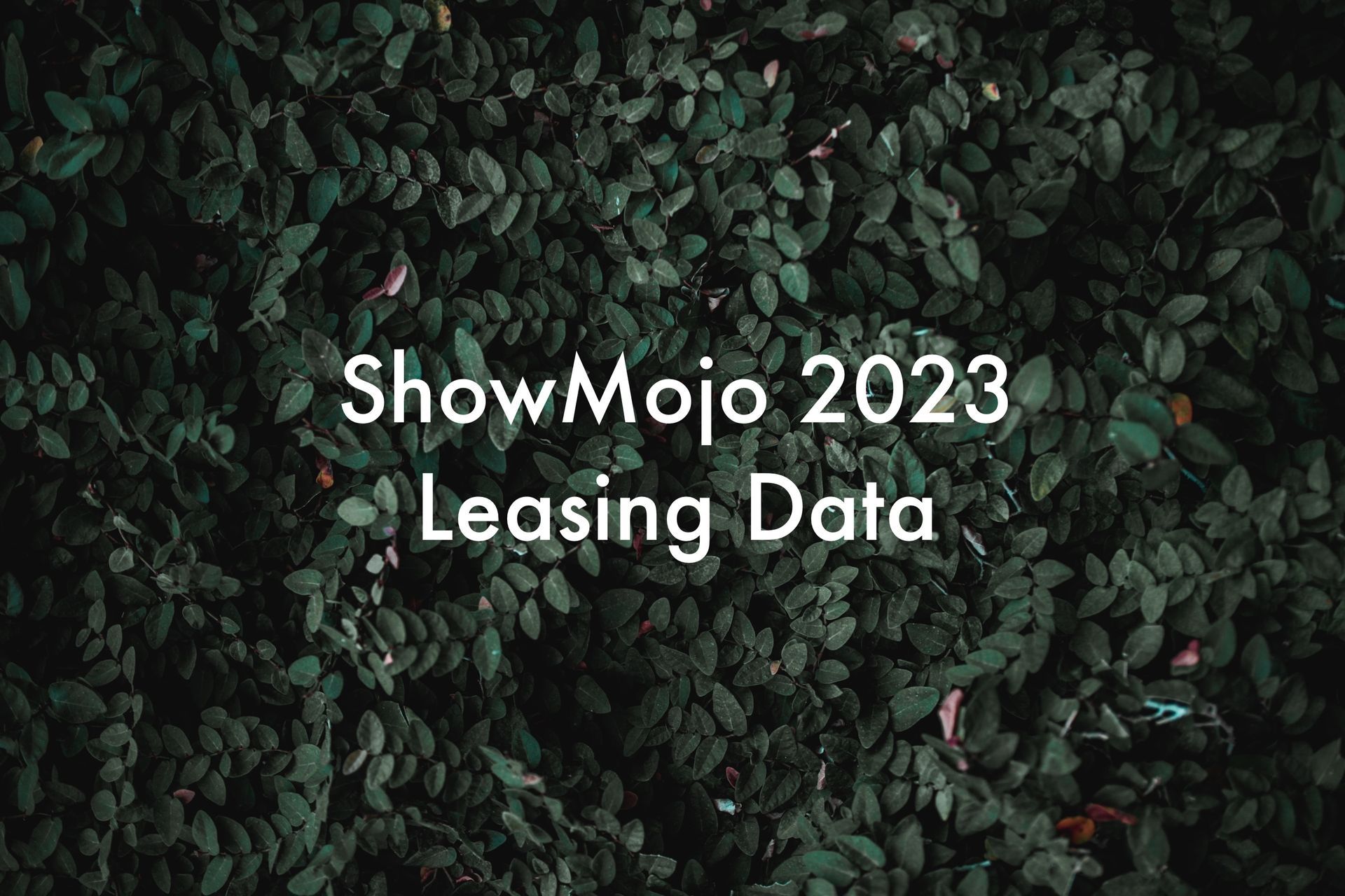 Showmojo 2023 Leasing Data- Owner Report