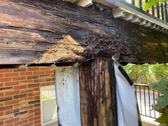 Poutre en bois pourrie soutenue par une colonne verticale endommagée, au-dessus d'une structure en briques ; sciure de bois visible.