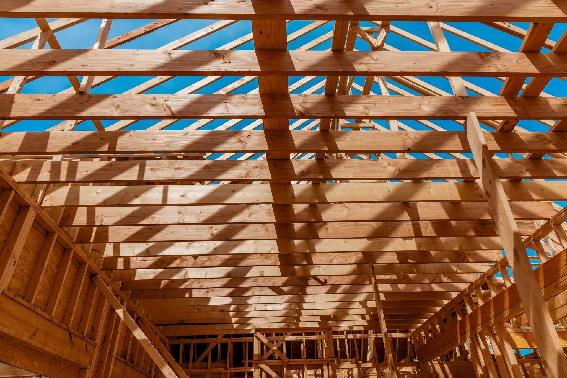 Charpente en bois d'une maison en construction, avec poutres et fermes se détachant sur un ciel d'un bleu éclatant.