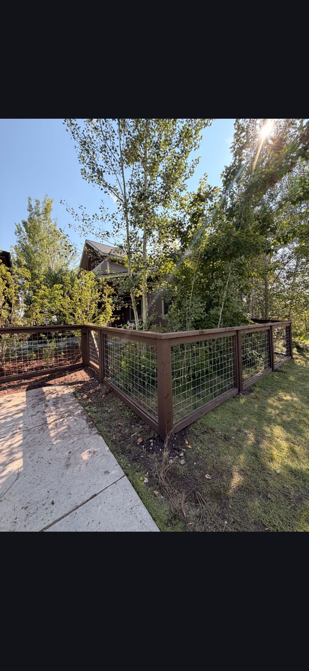 Wooden deck with railing beside a concrete path, surrounded by trees and greenery in a sunny yard