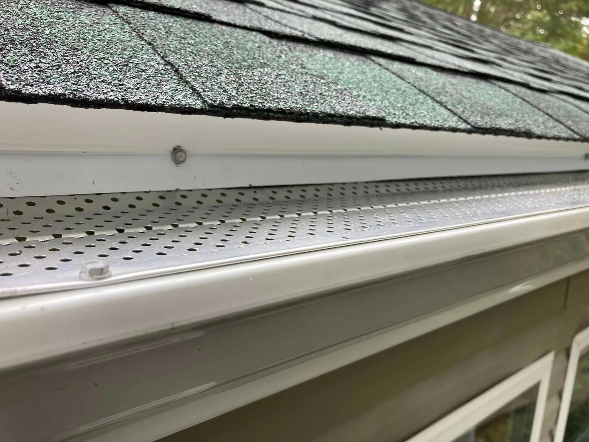 Close-up of a roof gutter with perforated leaf guard beneath green shingles