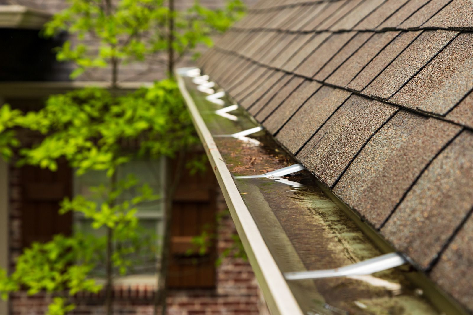 Rain gutter along a shingled roof beside a wooden house and green foliage