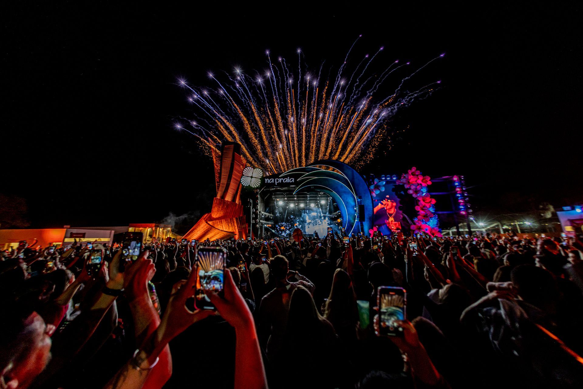 Uma multidão de pessoas está assistindo aos fogos de artifício em um show.