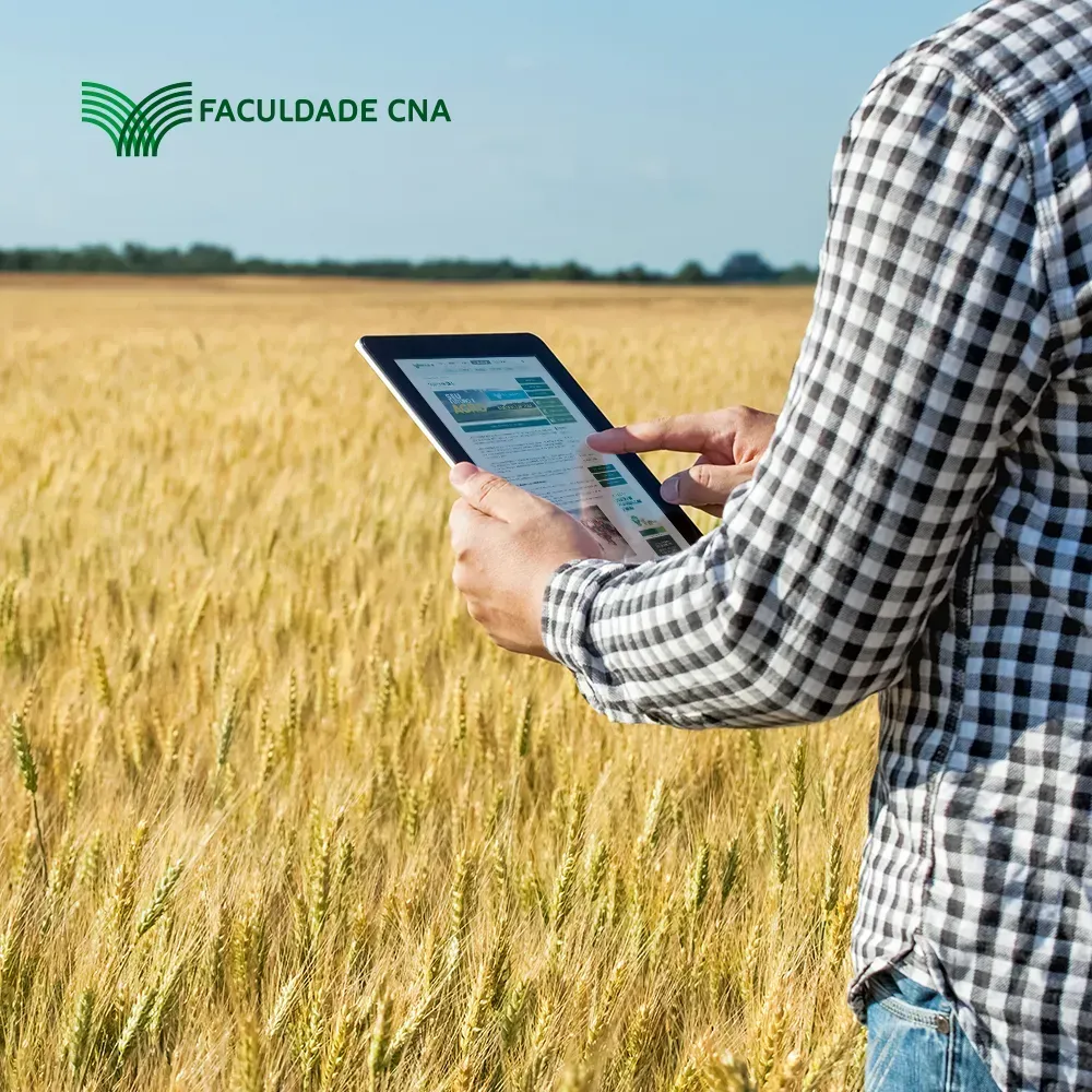 Um homem está usando um tablet em um campo de trigo.