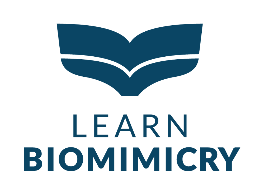 Find Out More A blue logo for learn biomimicry with an open book