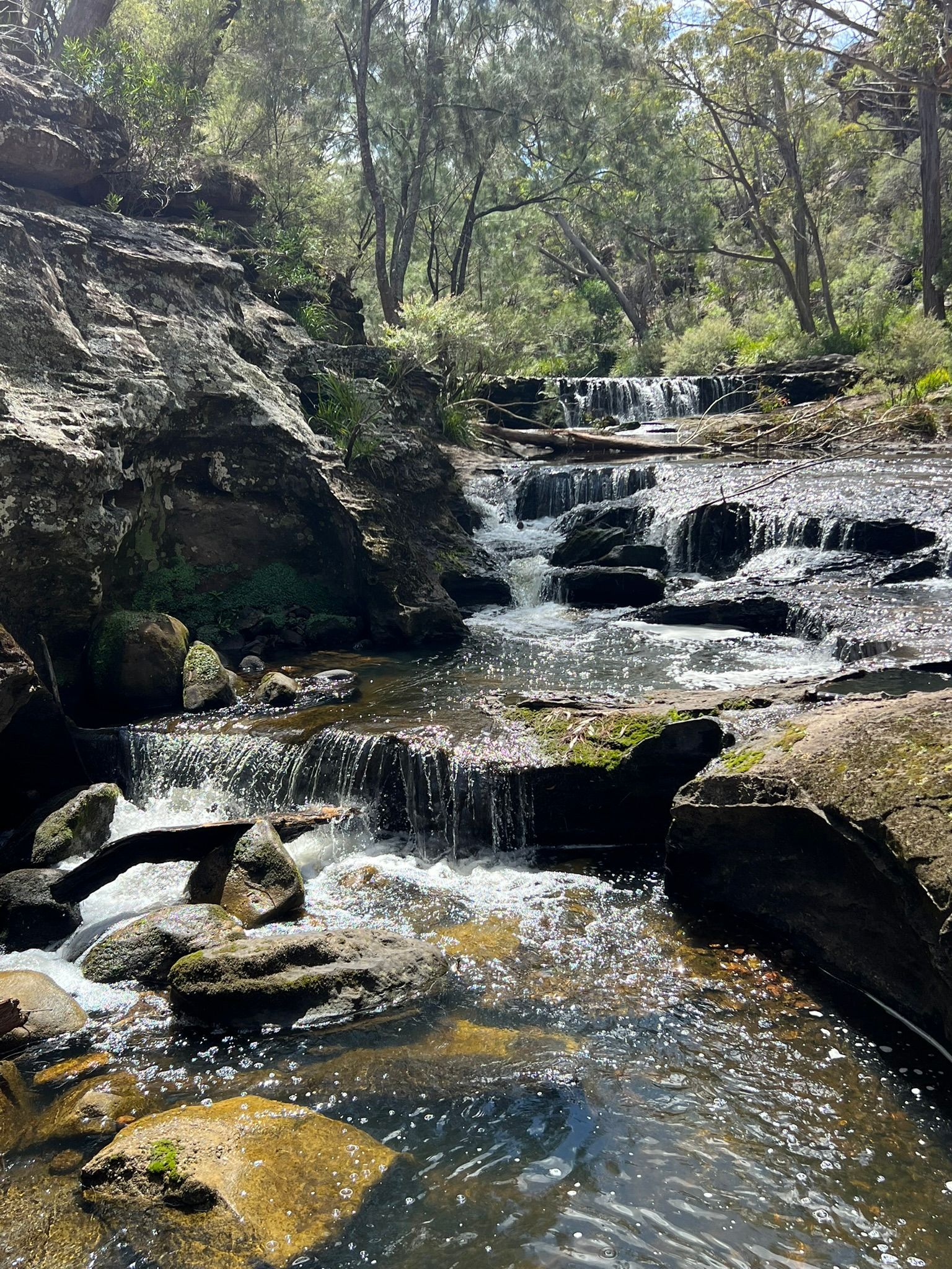 creek weir
