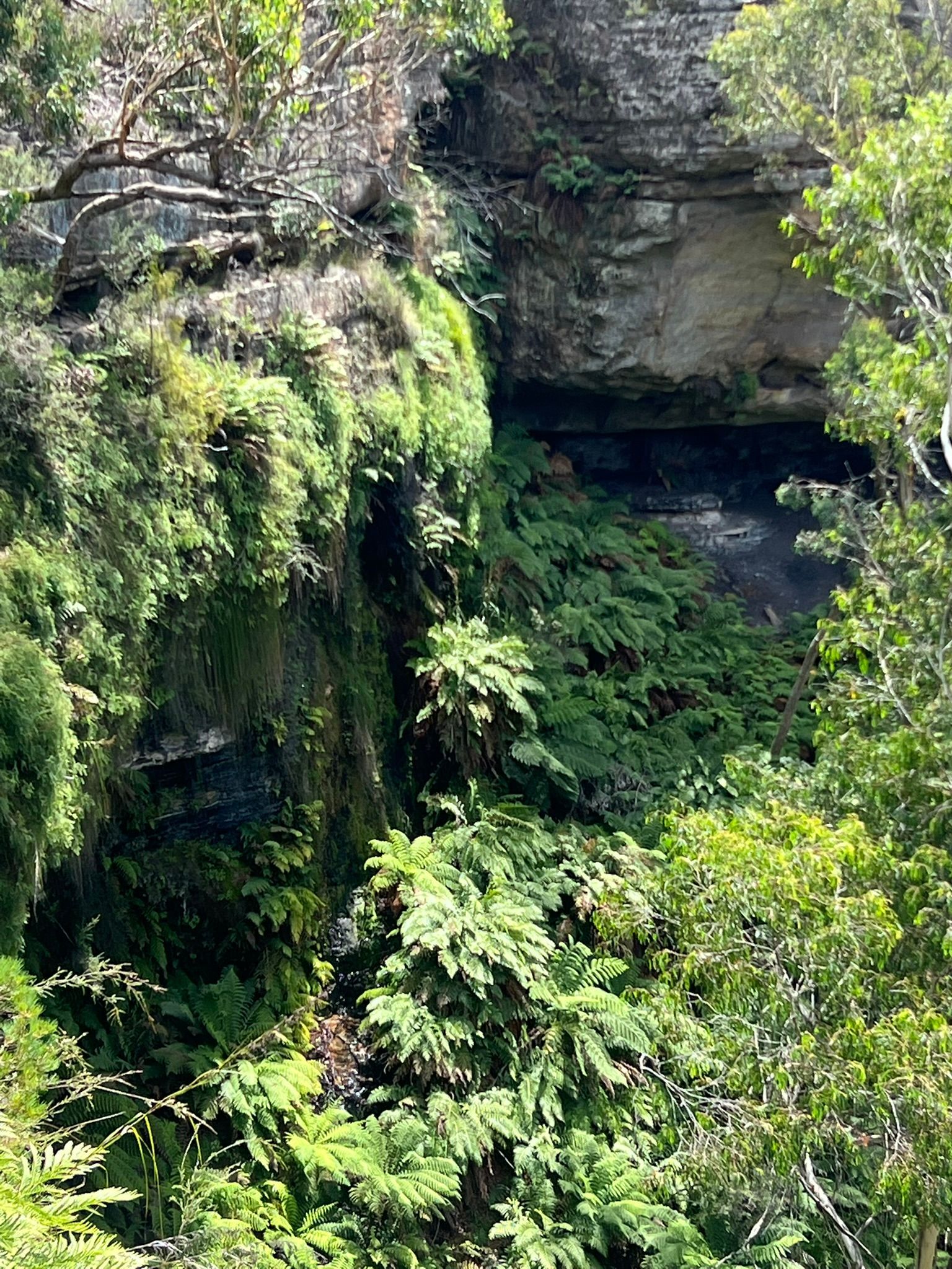 clifftop view
