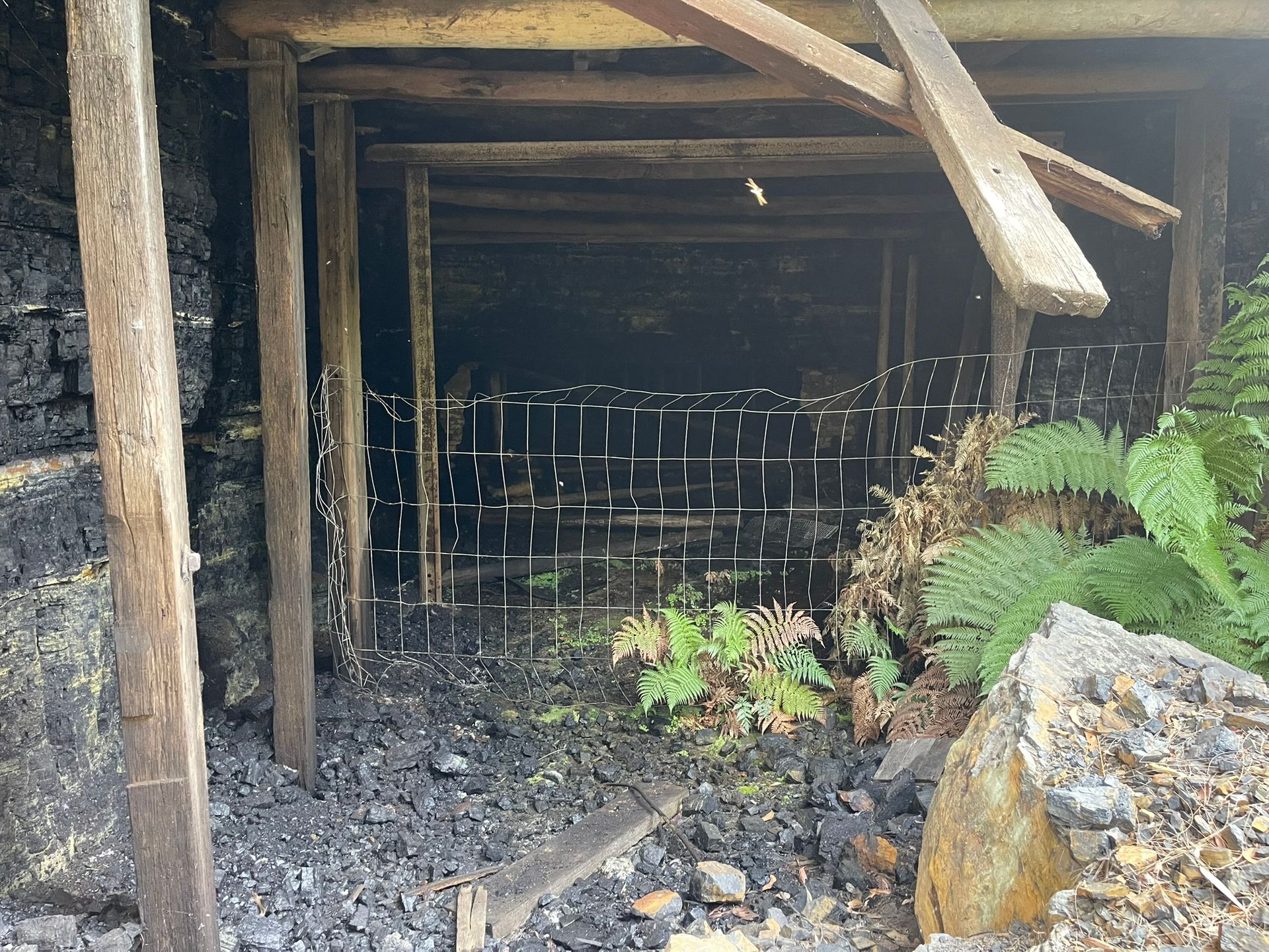 abandoned mine