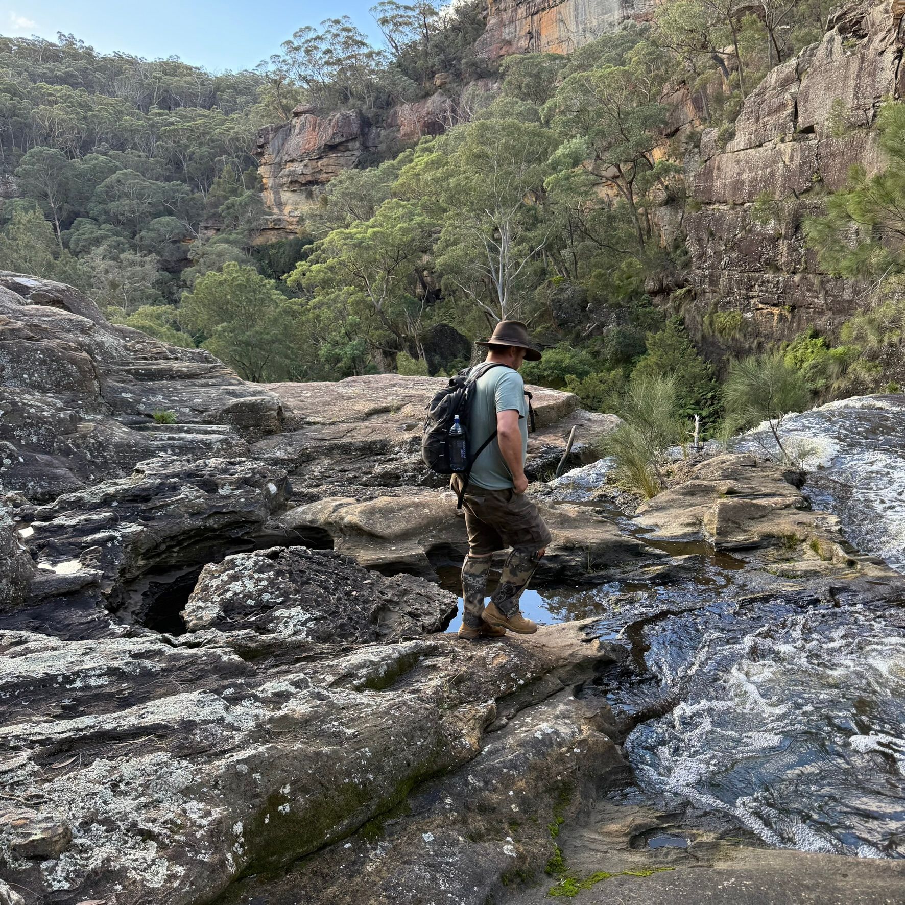 hiking bushwalking