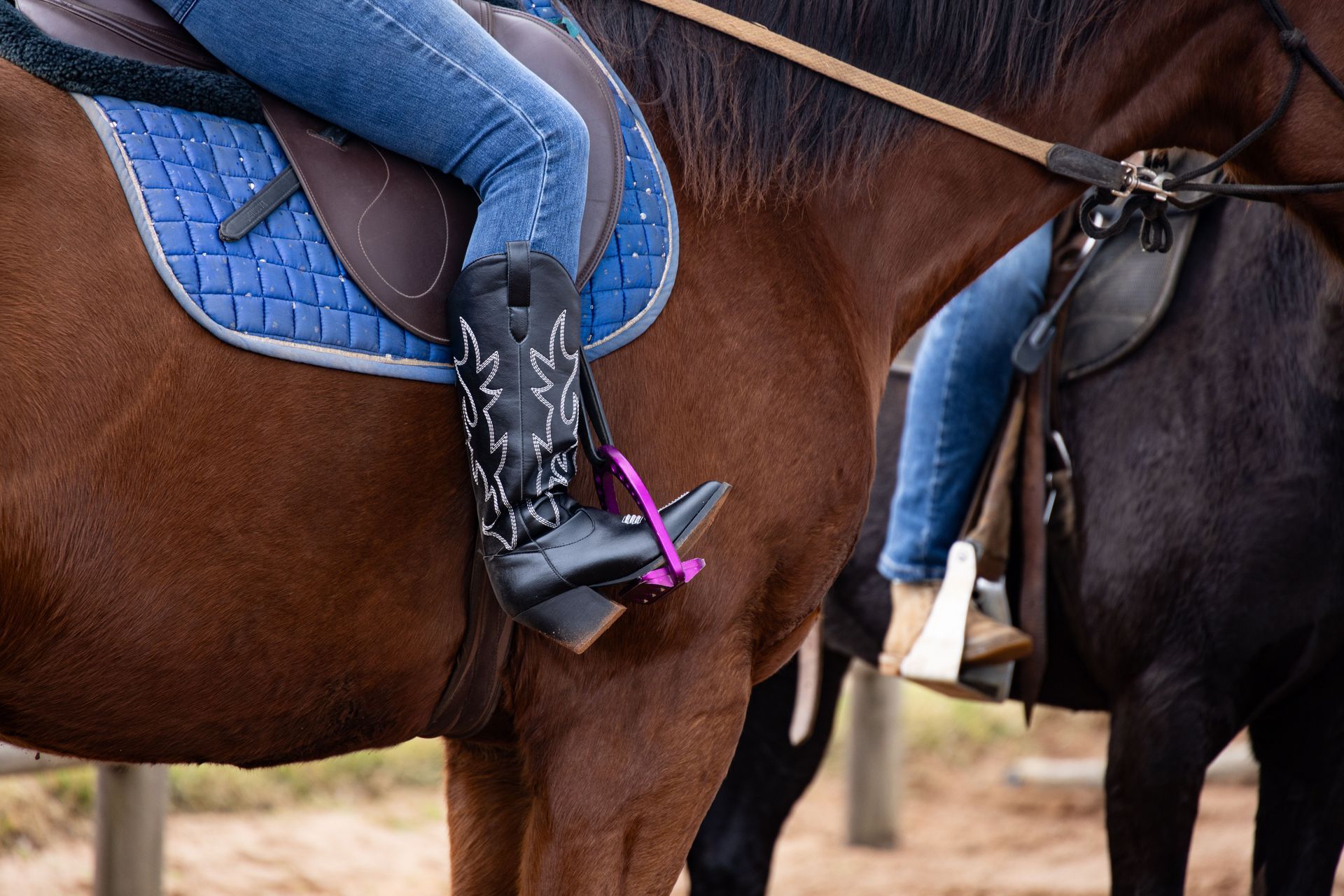 horse riding trail rides