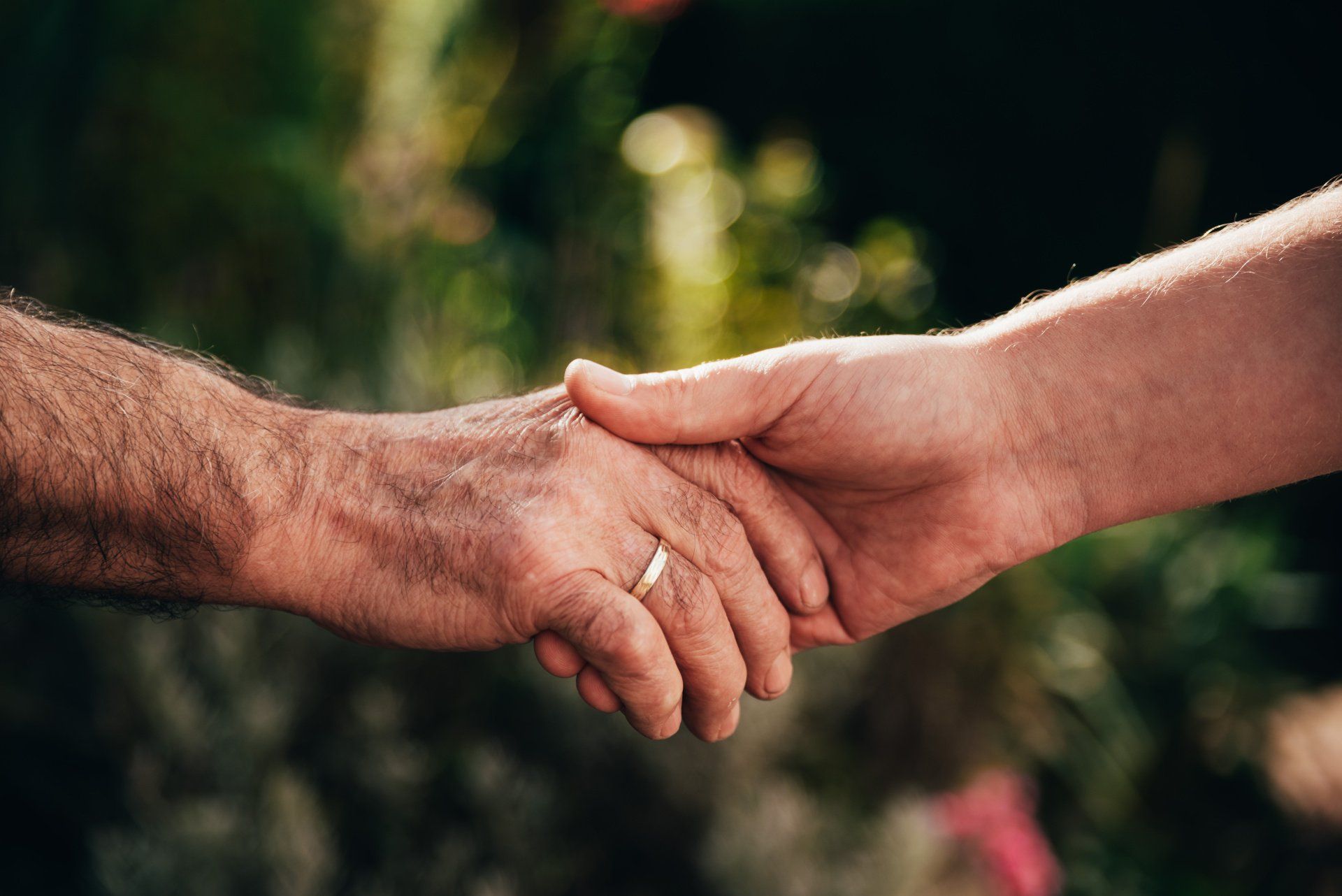 Zwei Hände reichen sich im Freien die Hand, im Hintergrund ist ein verschwommener grüner Bereich zu sehen.