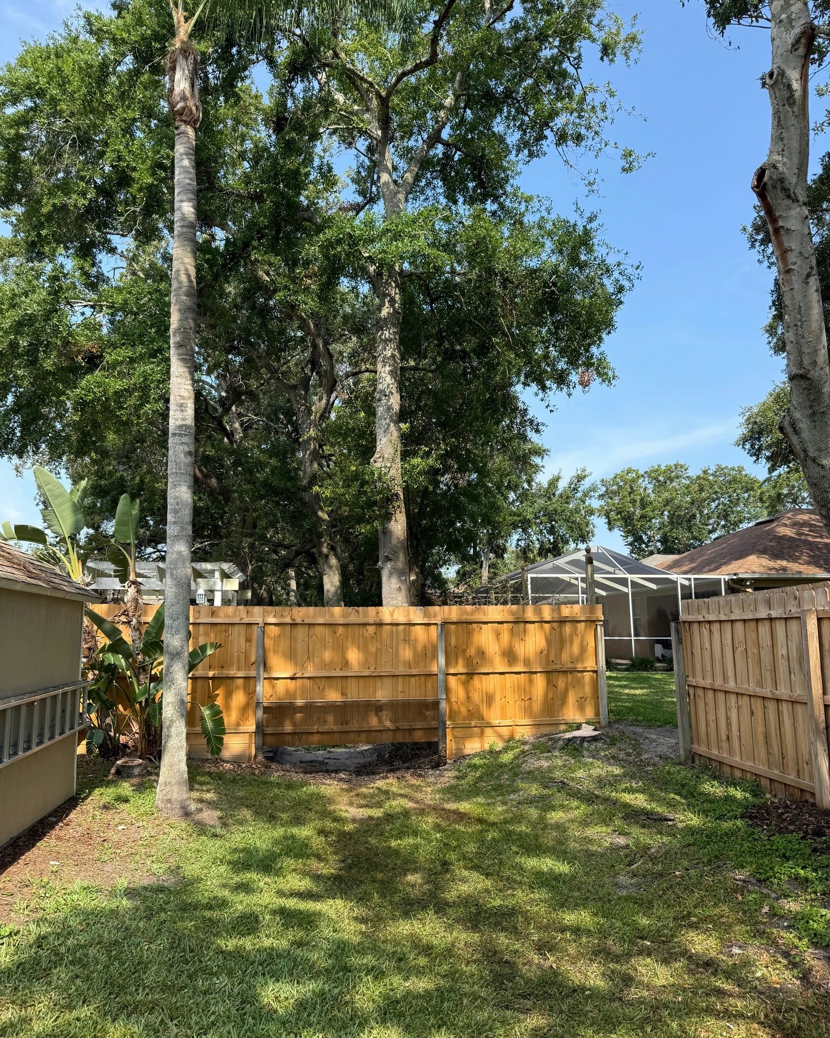 Backyard with a wooden compost bin, tall trees, and fenced sides under a blue sky.
